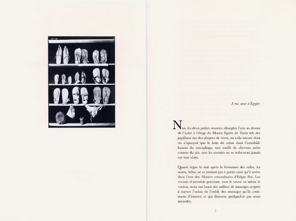 « Tous les objets sont des sphinx » de Jérôme Prieur – Image 2