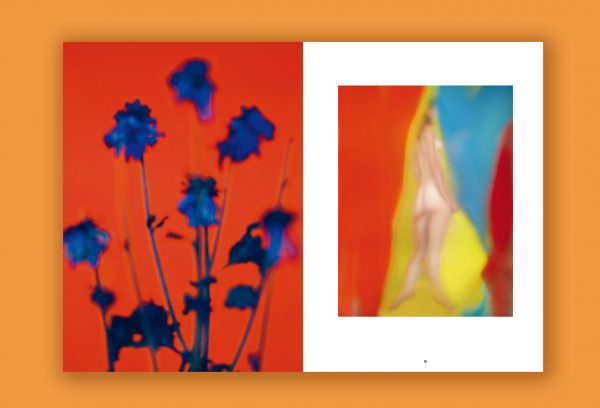 « Arcadies »  de Paul Rousteau – Image 5