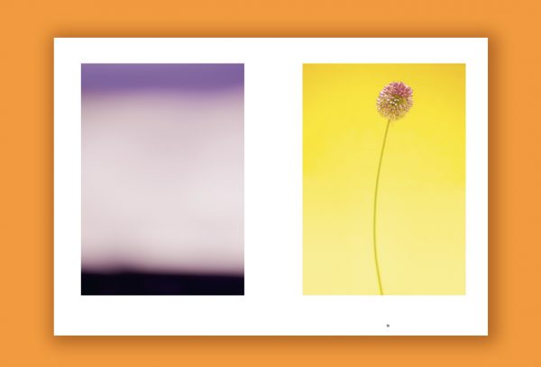 « Arcadies »  de Paul Rousteau – Image 4