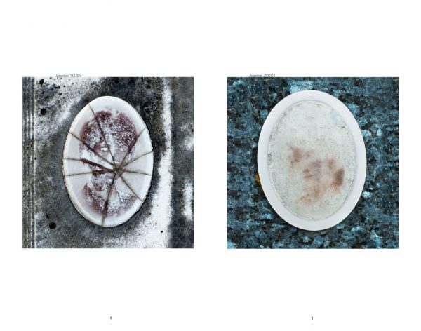 « Disparitions », photographies de Bernard Chevalier, texte de Didier Blonde (Tirage de tête) – Image 2