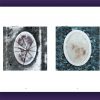 « Disparitions », photographies de Bernard Chevalier, texte de Didier Blonde – Image 4