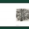 « Peintures et fusains » de Stanislas Bouvier – Image 3