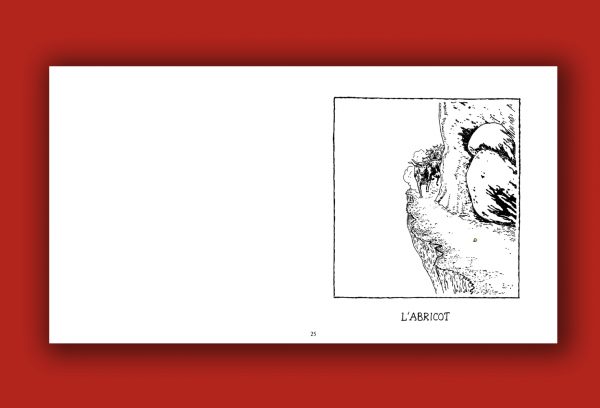 « Fruits en danger de mort » de Glen Baxter – Image 5