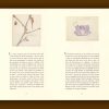 « Leçons de choses » de Gérard Macé (Tirage de tête) – Image 2