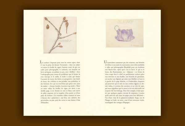 « Leçons de choses » de Gérard Macé – Image 2