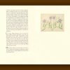 « Leçons de choses » de Gérard Macé (Tirage de tête) – Image 3