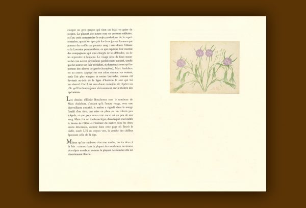 « Leçons de choses » de Gérard Macé – Image 3