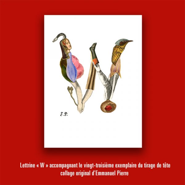 « Abécédérotique » de François Motte et Emmanuel Pierre (Tirage de tête) – Image 8