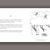 « Histoire de l'ombre » de Vincent Puente – Image 5