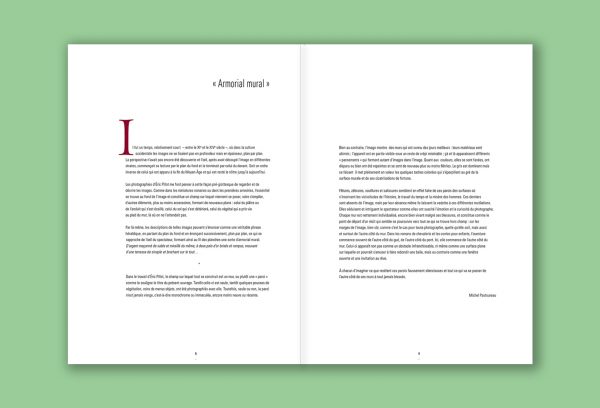 « Parois » d'Eric Pillot, texte de Michel Pastoureau – Image 3