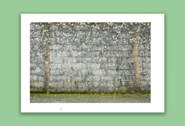 « Parois » d'Eric Pillot, texte de Michel Pastoureau – Image 4