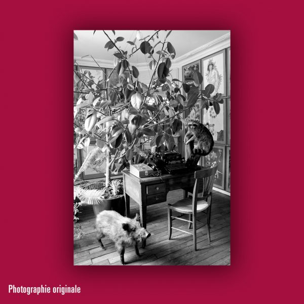 « Photographie » de Jean Le Gac