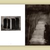 « Chrysalides » Photographies de Jean-Michel Fauquet (Tirage de tête) – Image 2