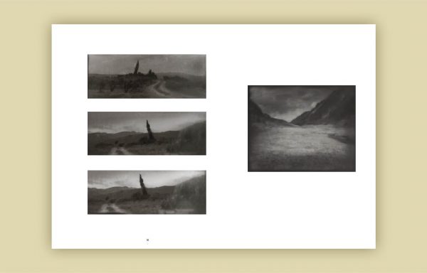 « Chrysalides » Photographies de Jean-Michel Fauquet (Tirage de tête) – Image 3