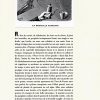 Tom Tit Dada de Brice Matthieussent  (Tirage de tête) – Image 2