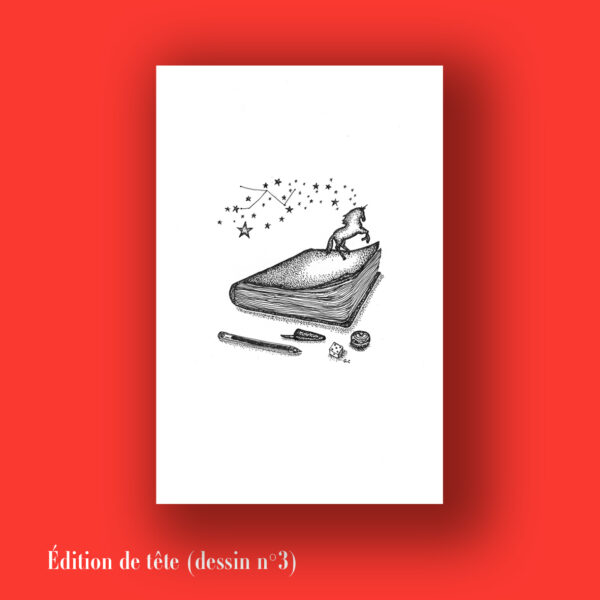 « Démentis » de Jean-Benoît Puech (tirage de tête) – Image 3