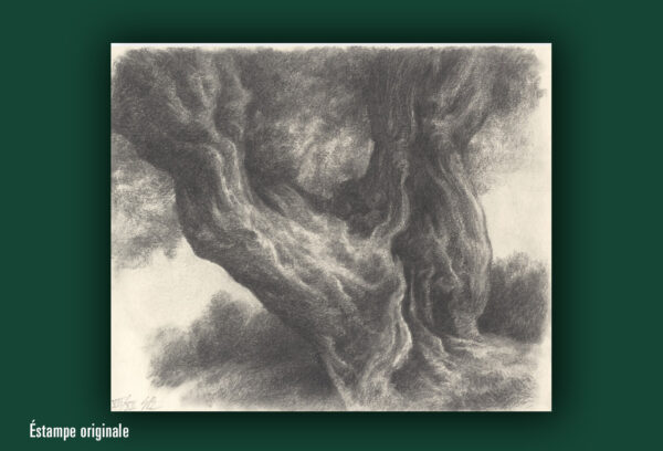 « Peintures et fusains » de Stanislas Bouvier (exemplaire avec estampe) – Image 2