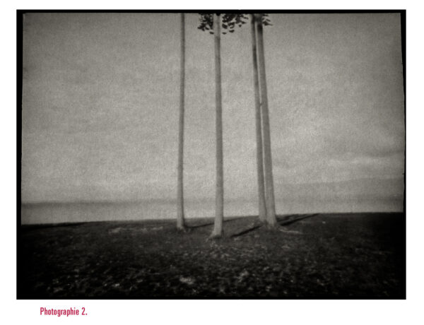« Le songe des rives » de Christian Poncet (tirage de tête) – Image 3